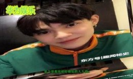 爆料杨姓明星视频大全集,揭秘娱乐圈不为人知的秘密