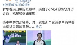 衡水老师爆料博主视频,揭秘博主视频背后的真相