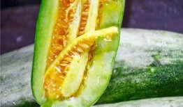 保定网红吃瓜,揭秘网络红人的幕后故事