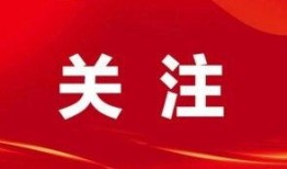 崇左新闻爆料事件视频,视频揭露惊人事件，真相令人震惊